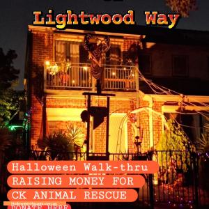 Halloween House at 16 Lightwood Way, Maidstone