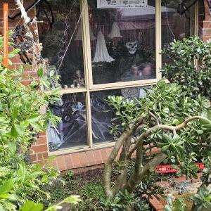 Halloween House at 13 Clark Street, Richmond
