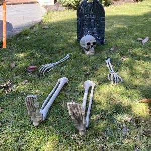Halloween House at 7 Holyrood Avenue, Strathmore