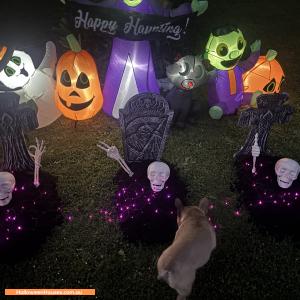 Halloween House at 97 Rippon Road, Hamilton