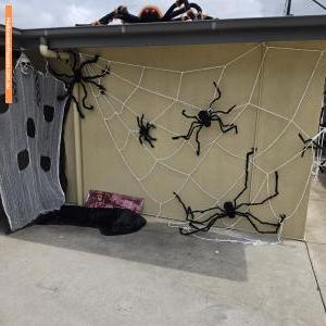 Halloween House at 51 Mount Baimbridge Road, Hamilton